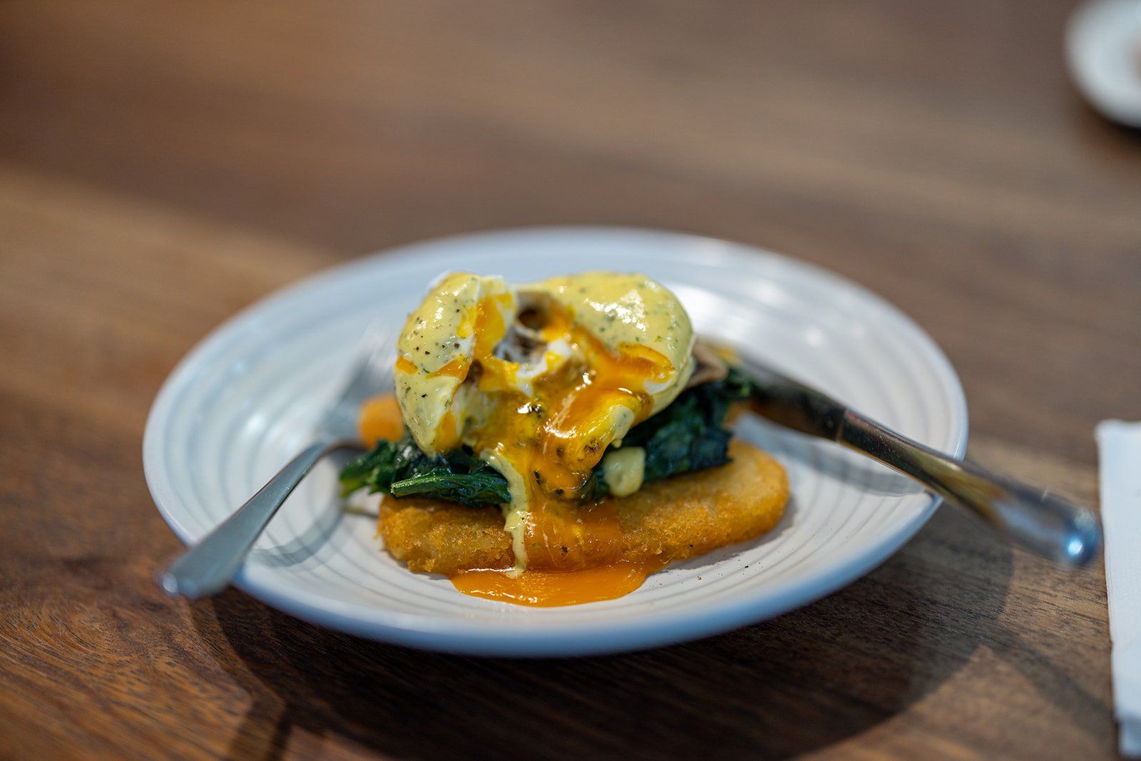 On-location corporate photography session in Wellington